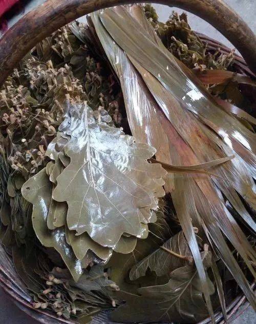 1623636520346546.jpeg 邹妍.jpg