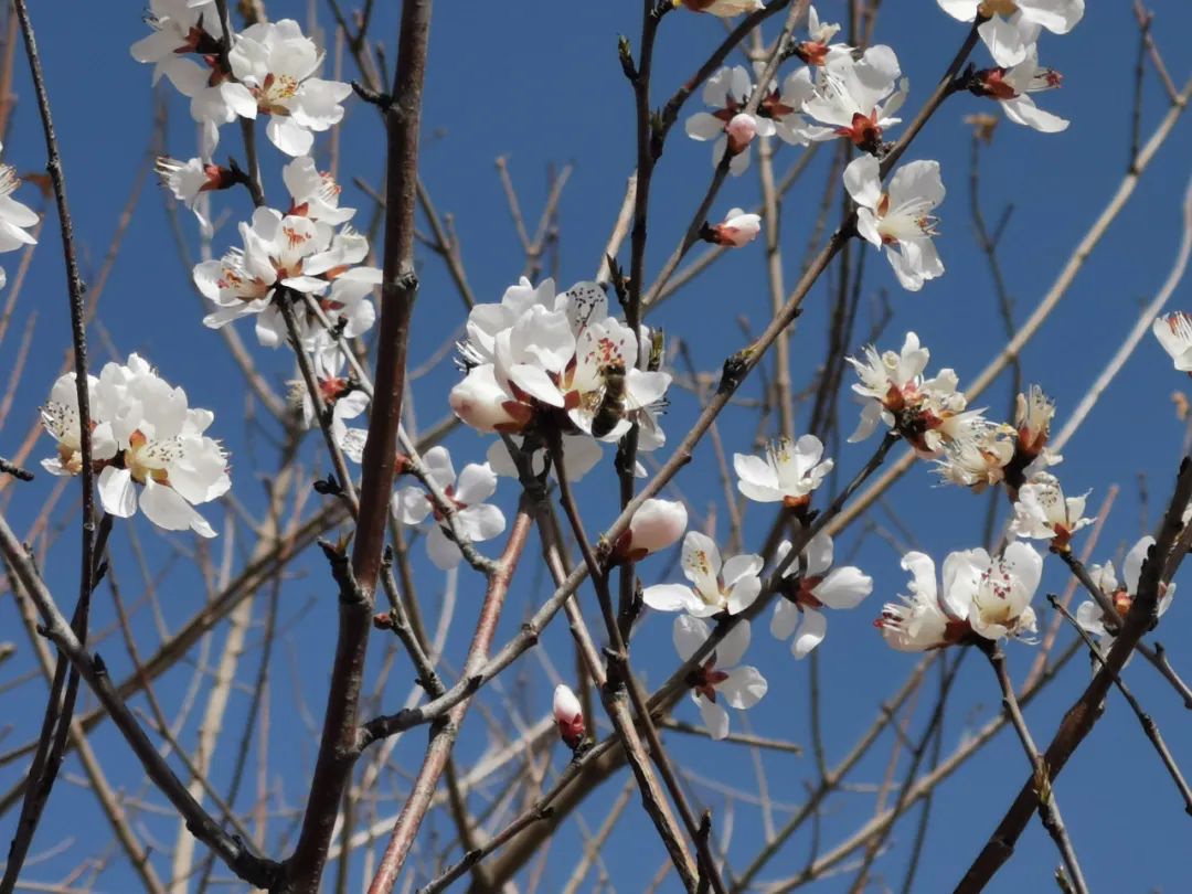 1649480621943318.jpeg 照片2.jpg