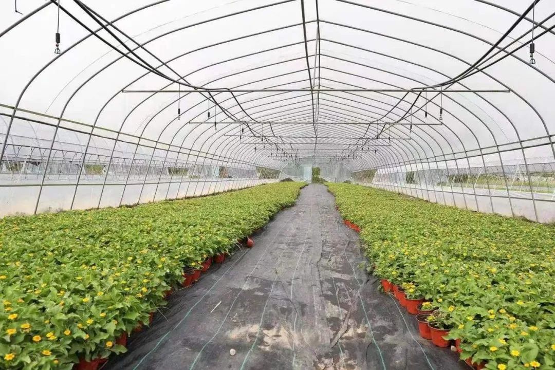 1650850073212881.jpeg ÕÕÆ¬3.jpg