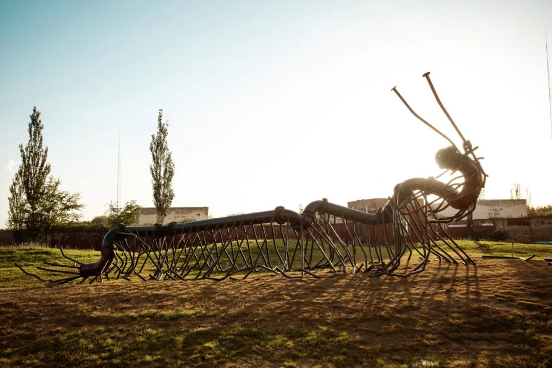 1657269643883842.jpeg 照片2.jpg