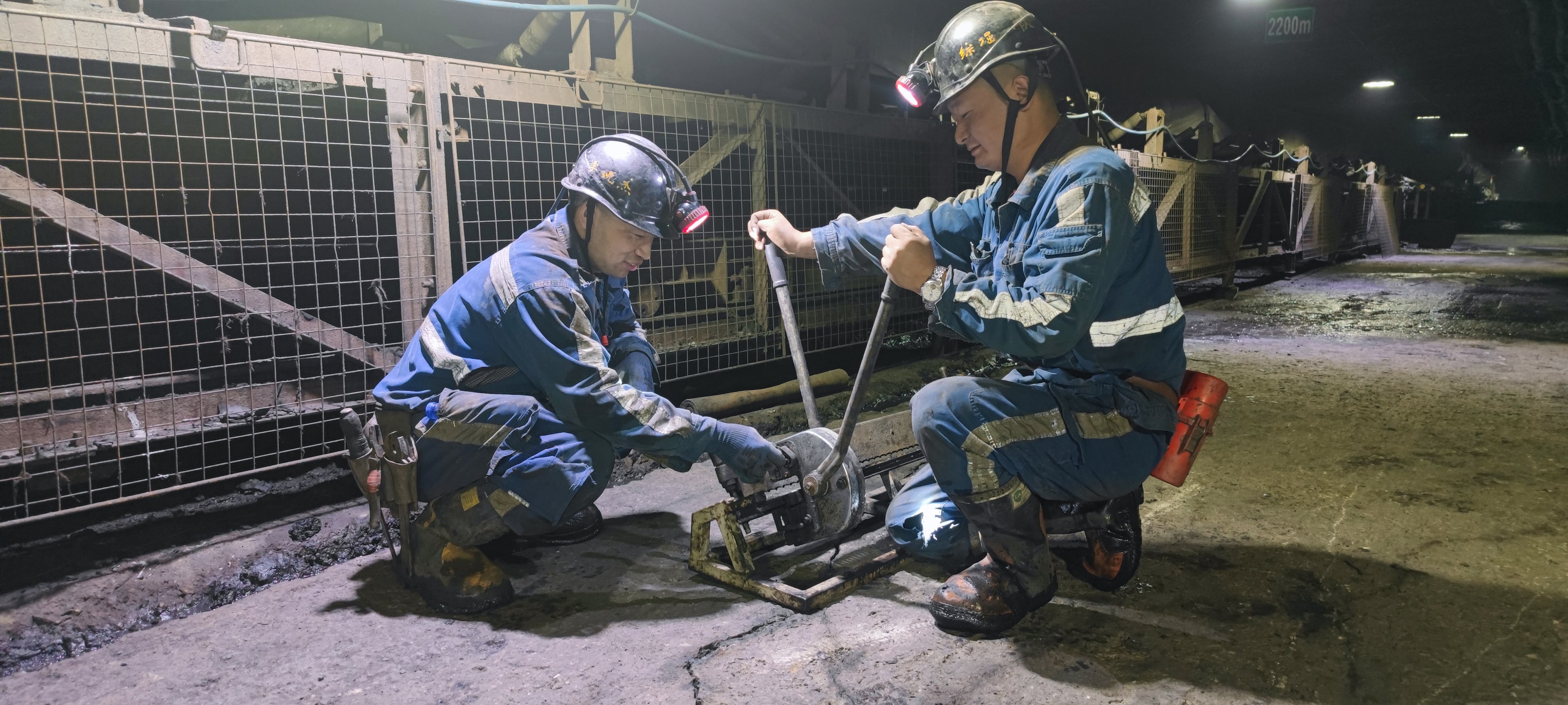 1664430812344537.jpeg 1.jpg