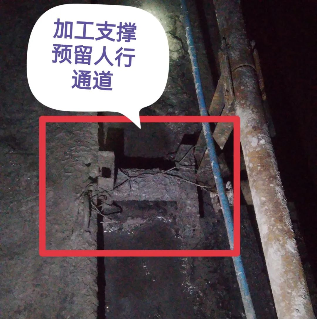 1671670805136654.jpeg ÕÕÆ¬3.jpg