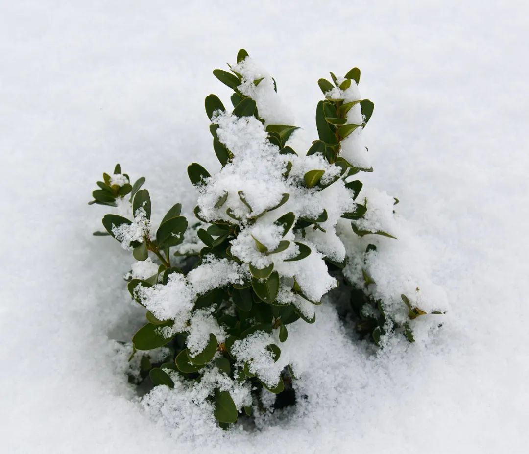 1676863326588633.jpeg 图片 2.jpg