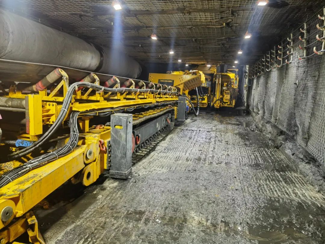 1693878072353885.jpeg 图片 1.jpg