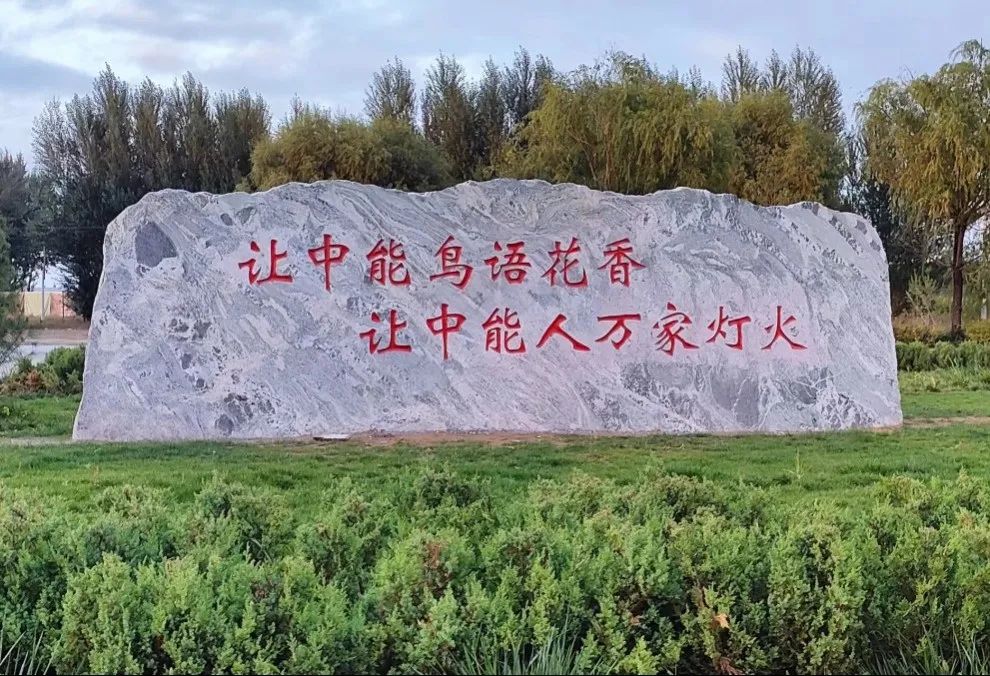 1697082228268377.jpeg 1.jpg