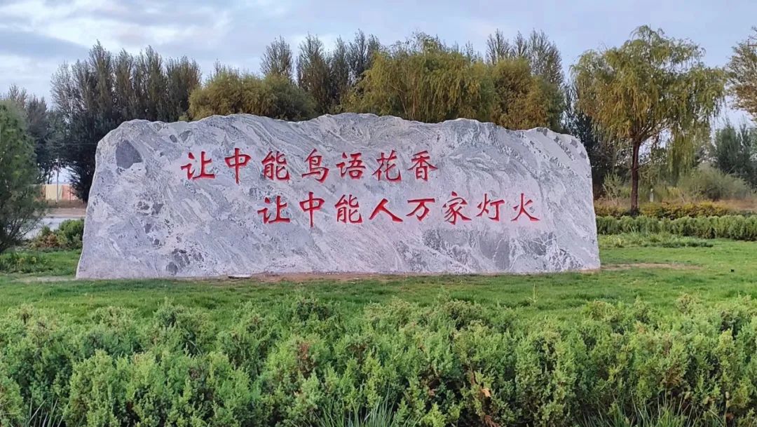 1703643164195064.jpeg 2.jpg