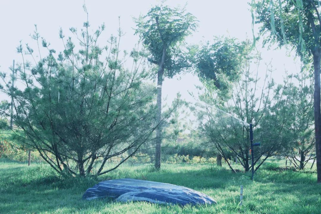 1703643212834861.jpeg 5.jpg