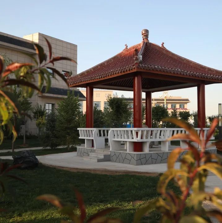 1703643239672243.jpeg 7.jpg