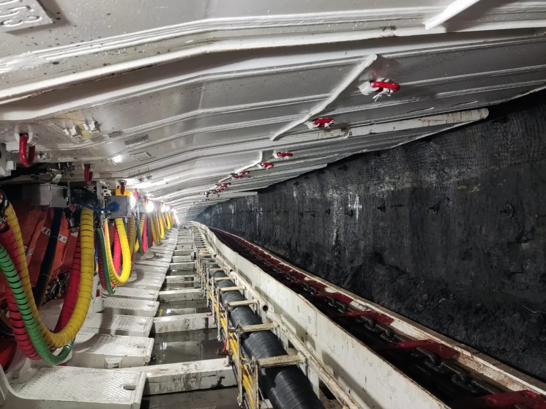 1714456126263153.jpeg 5.jpg