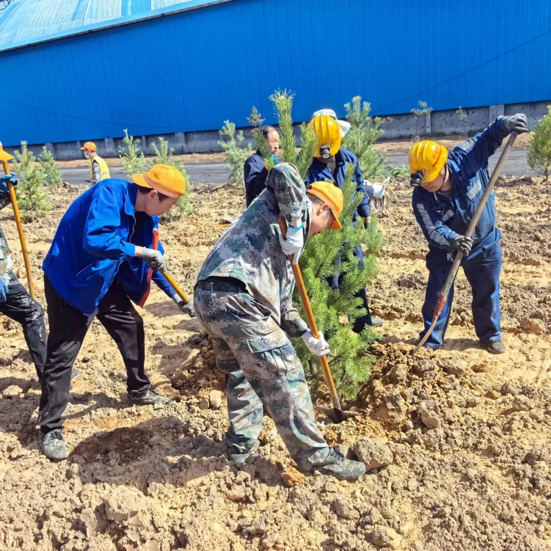 1714698902629379.jpeg 1.jpg