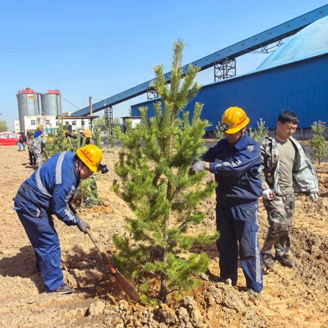 1714698913887718.jpeg 2.jpg