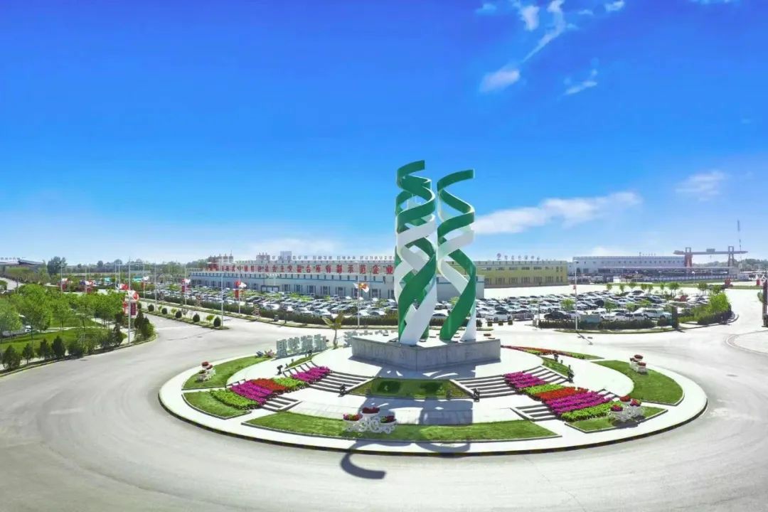 1718432132305778.jpeg 1.jpg