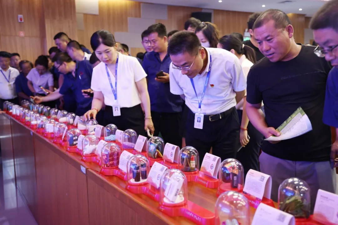 1719035159512815.jpeg 1719035159512815.jpeg