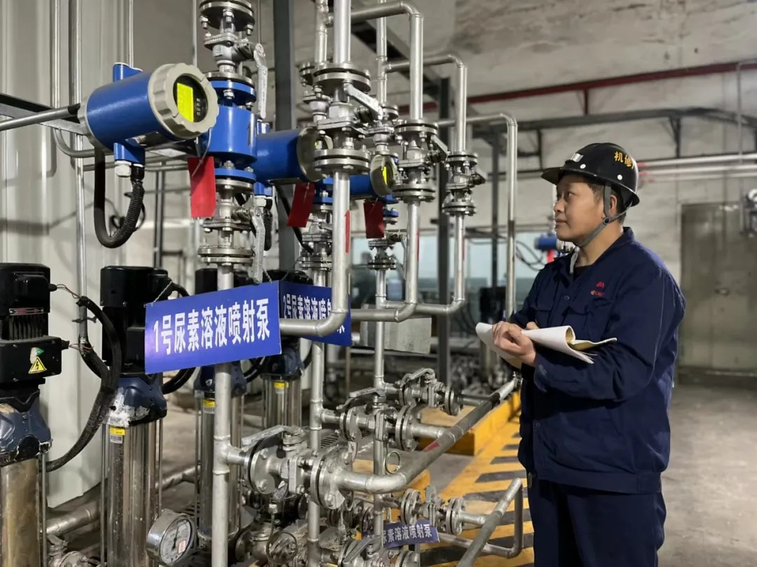 1721177155545998.jpeg 2.jpg