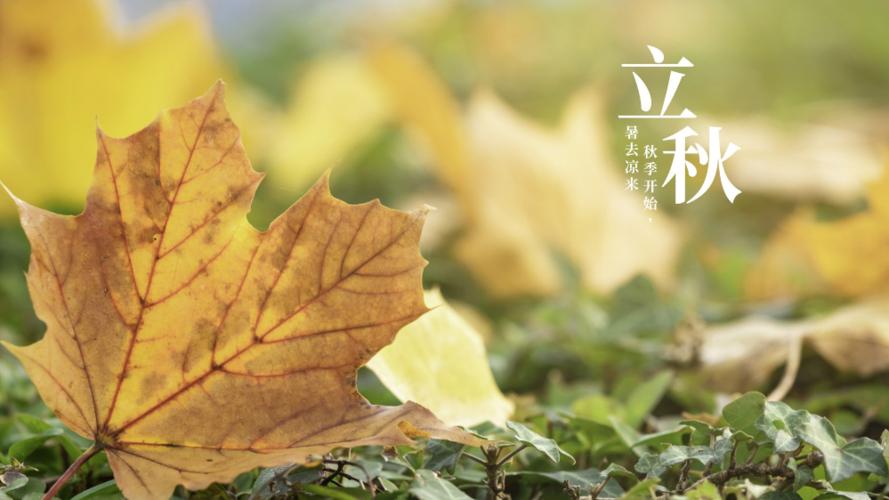 1723873951894361.jpeg ͼƬһ ºÍƽµÄÁ¢ÇïͼƬ ÌṩÕß-Àî»ÛêÅ.jpeg