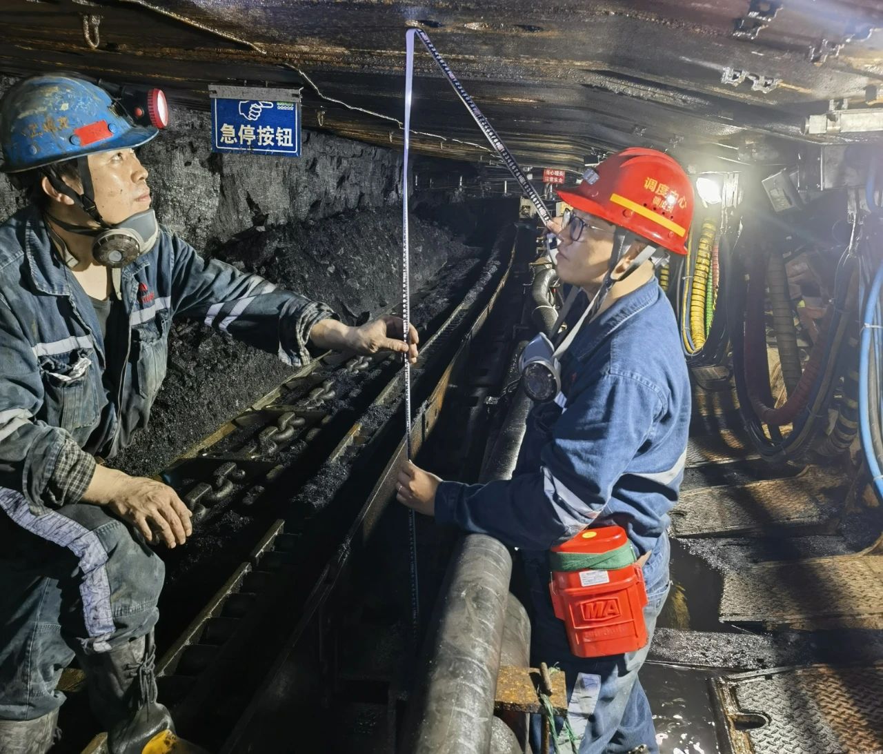 1727764567121959.jpeg 3.jpg