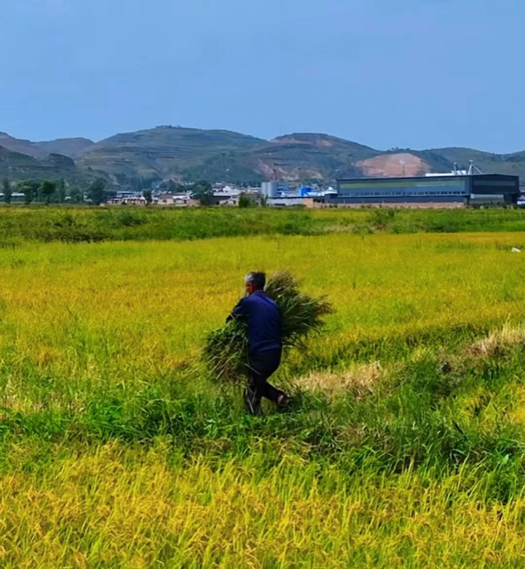 1727836011319451.jpeg 1.jpg