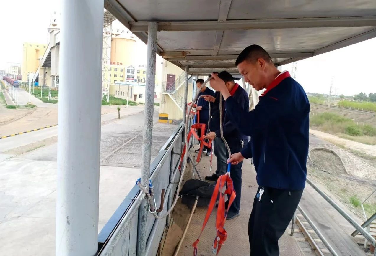 1729154084726699.jpeg 1.jpg