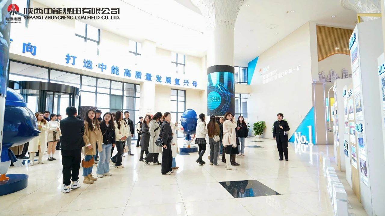 1731372576996431.jpeg 3.jpg