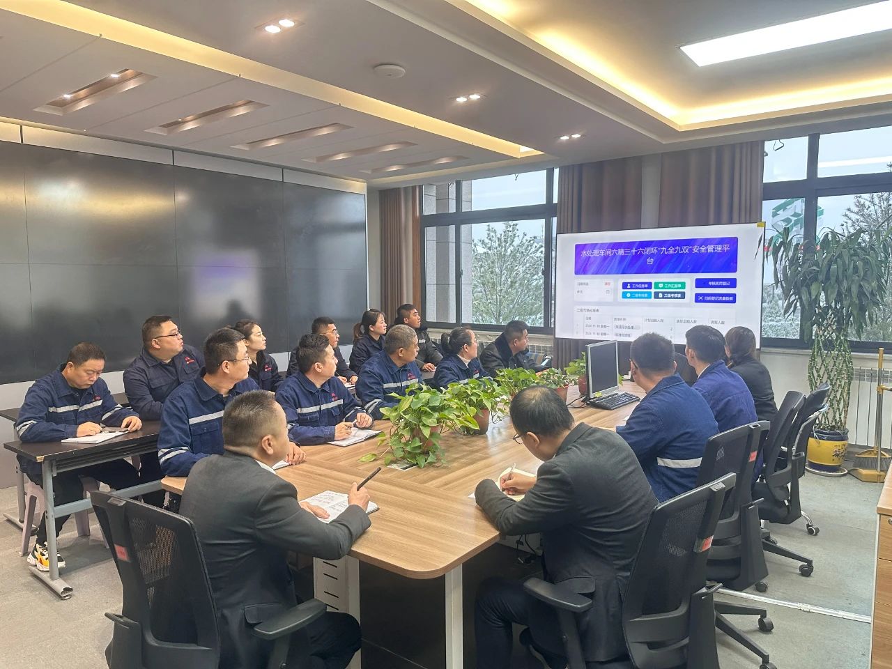 1732147937717727.jpeg 3.jpg