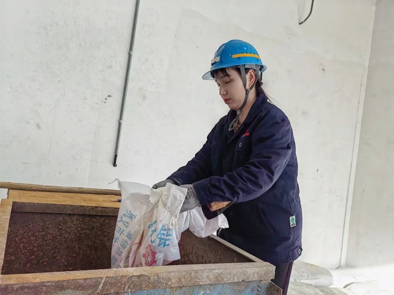 1736123656353184.jpeg 2.jpg