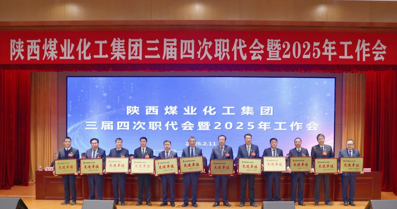 1739417137228882.jpeg 1739417137228882.jpeg