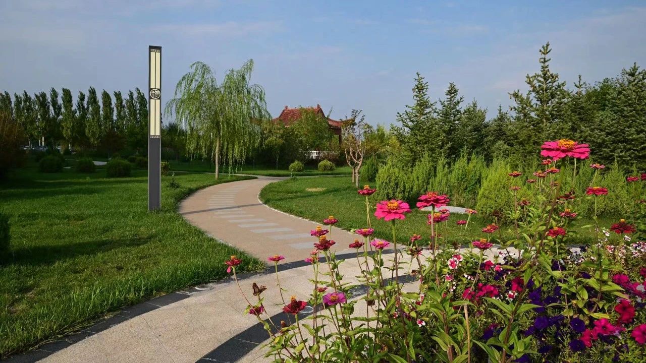 1742862556651371.jpeg 2.jpg