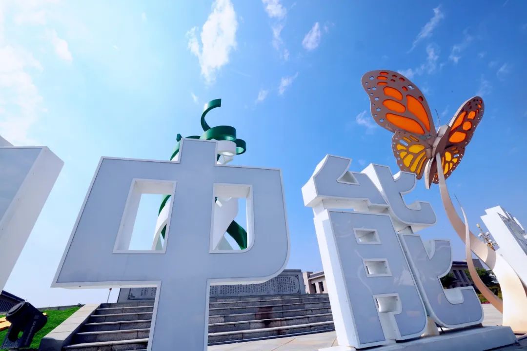 1744071301790442.jpeg 3.jpg