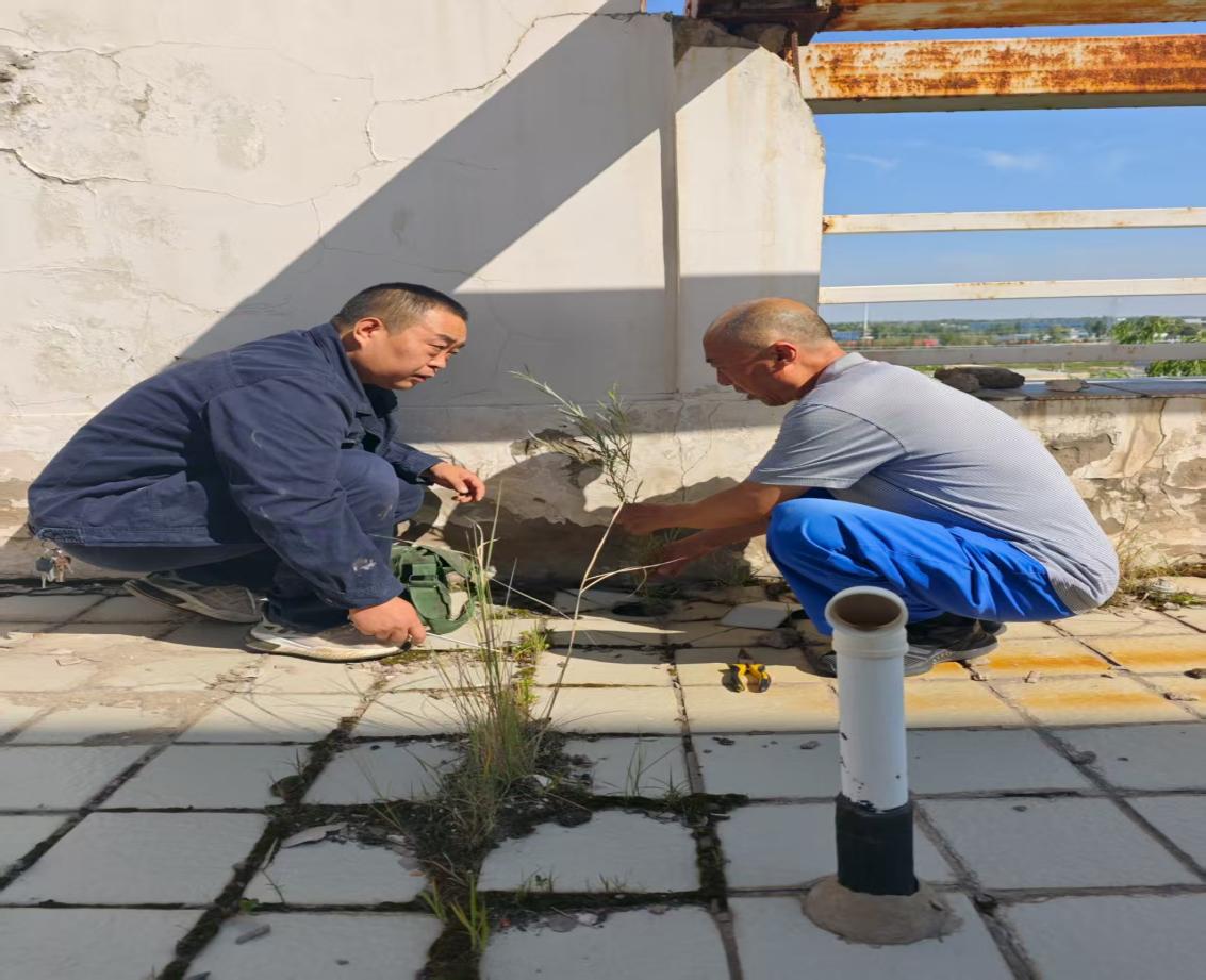 1753060846601603.jpeg ͼƬ2.jpg