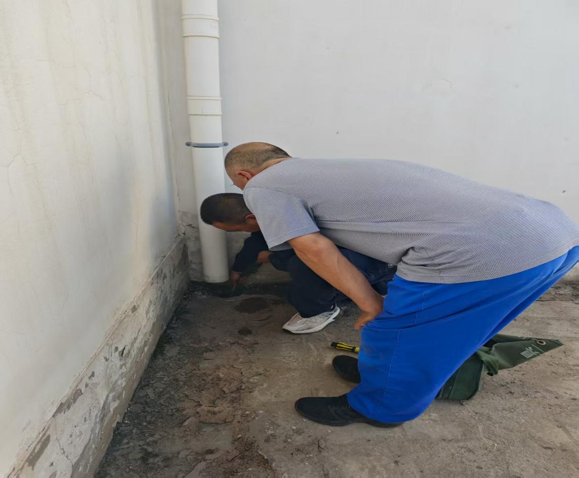 1753060866732698.jpeg ͼƬ3.jpg