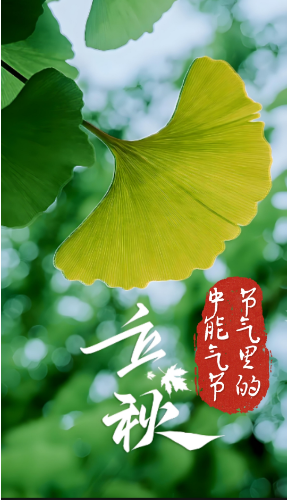 1754617589249704.png 1.png