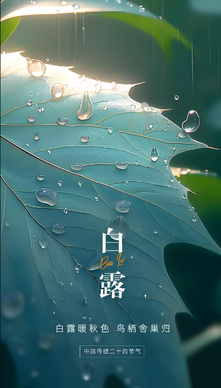 1757293776302731.png 1fe9ffd5ccbfee07fa1e122e96c6f941.png