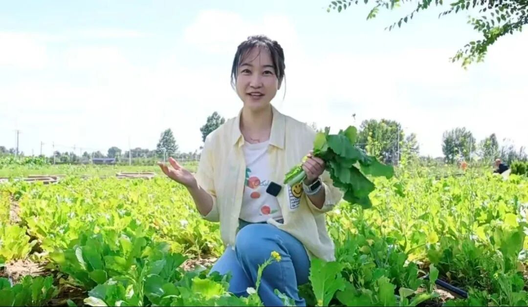 1762737832430772.jpeg 2.jpg