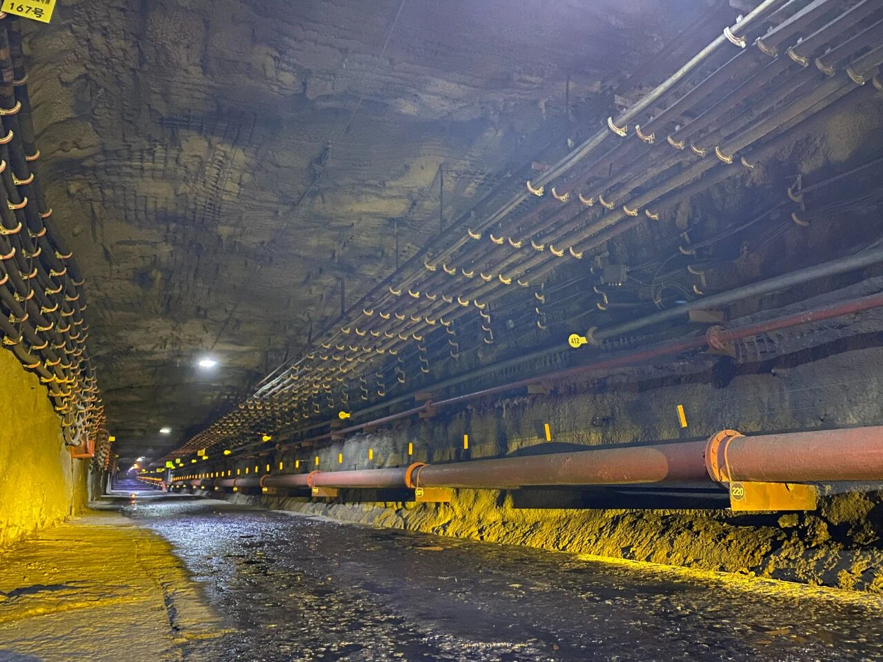 1763972038313686.jpeg 3.jpg