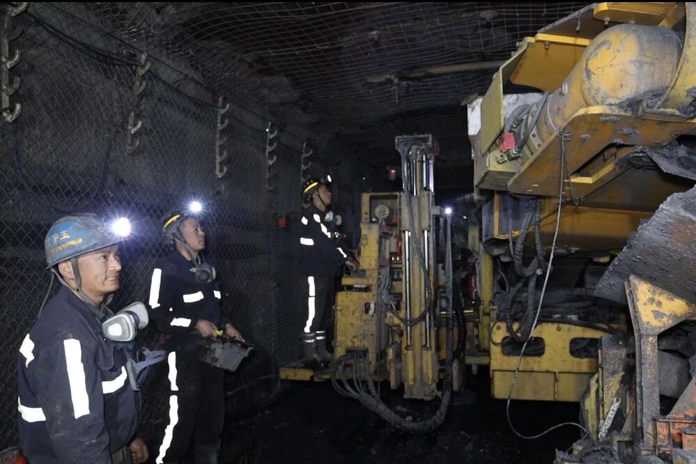 1764204314700709.jpeg 1.jpg