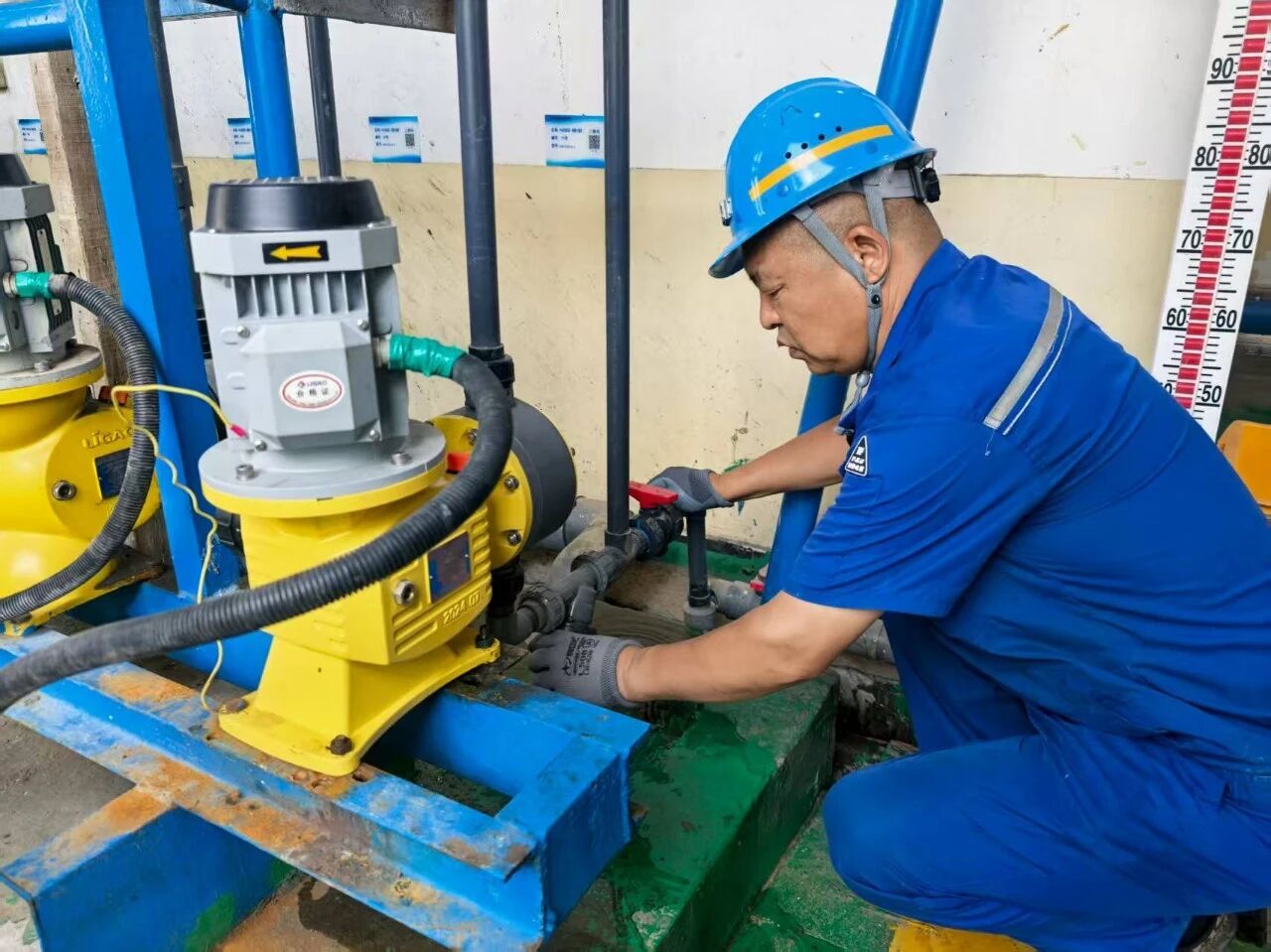 1764807620645772.jpeg 1.jpg