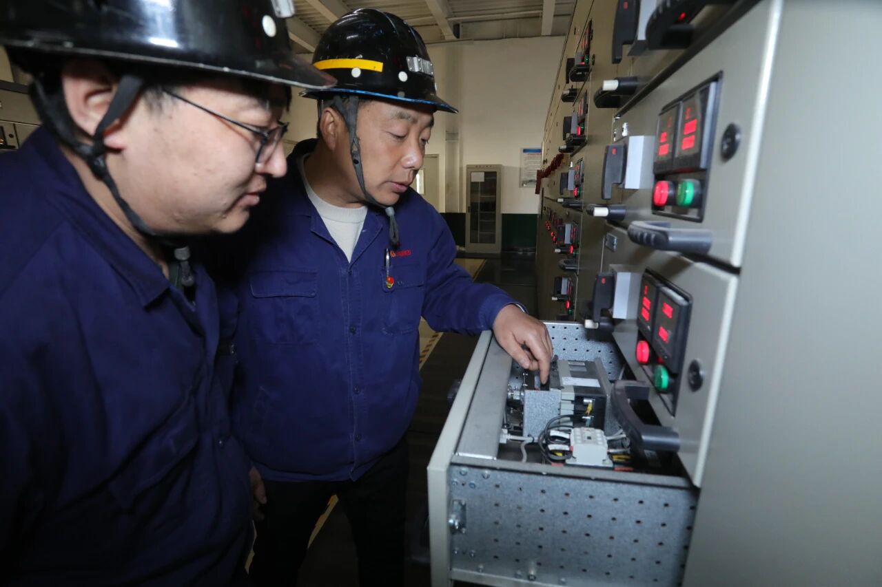 1765241225279965.jpeg 2.jpg