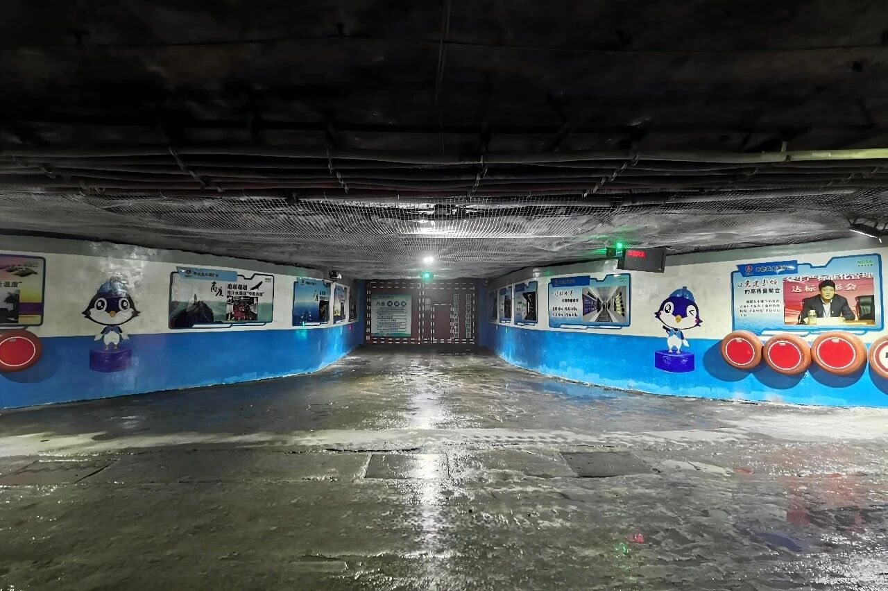 1766133209701152.jpeg 2.jpg