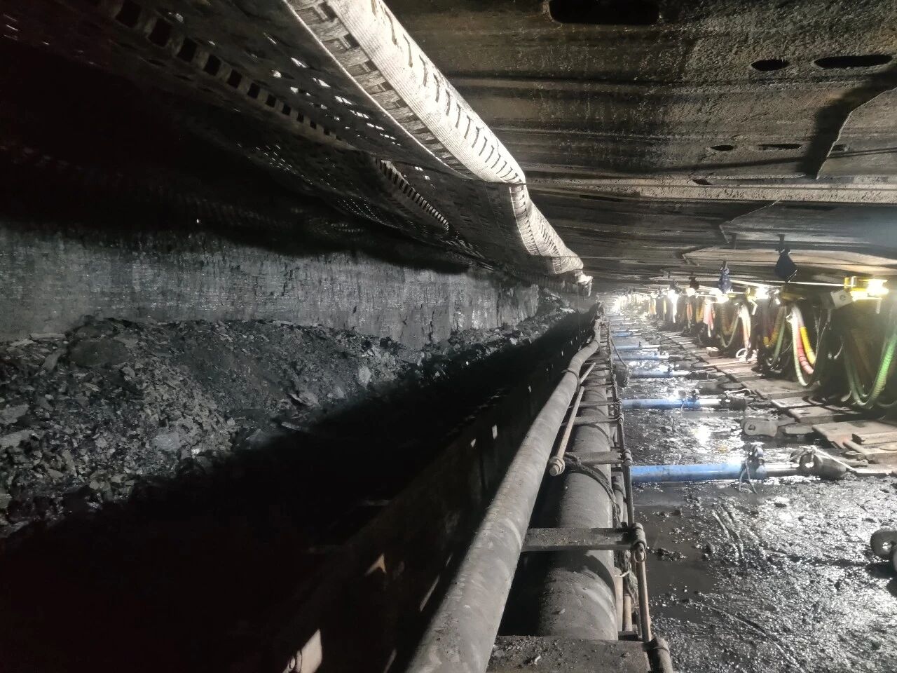 1768867439309897.jpeg 2.jpg